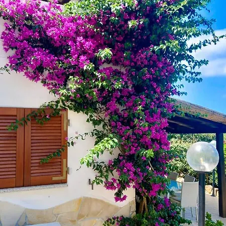 Oleandri Santa Teresa Gallura